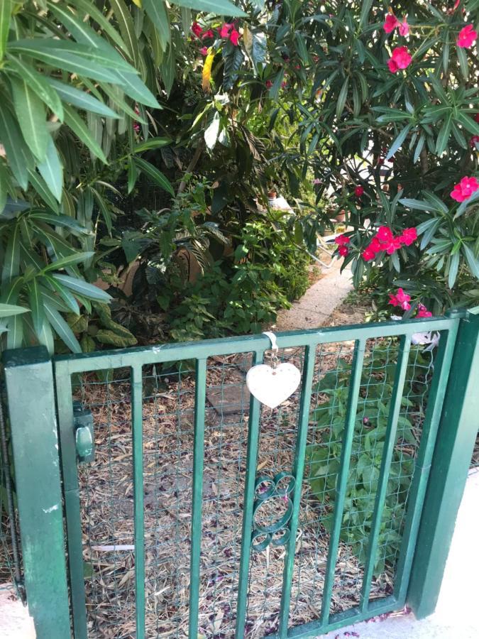 Joli Studio Avec Jardinet Αβινιόν Εξωτερικό φωτογραφία